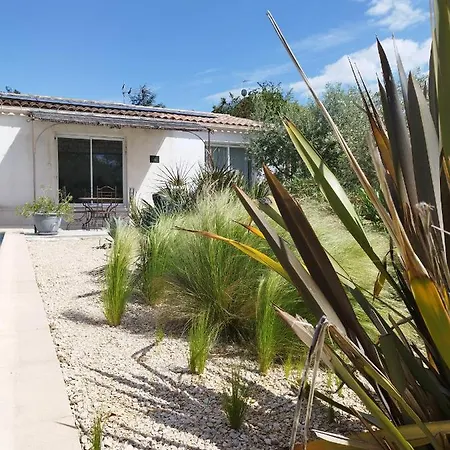 Domaine De L'arbre Dore *