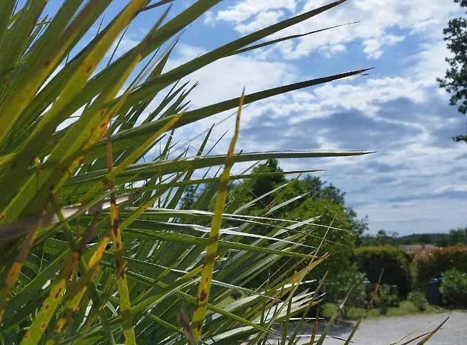 Domaine De L'arbre Dore Holiday home